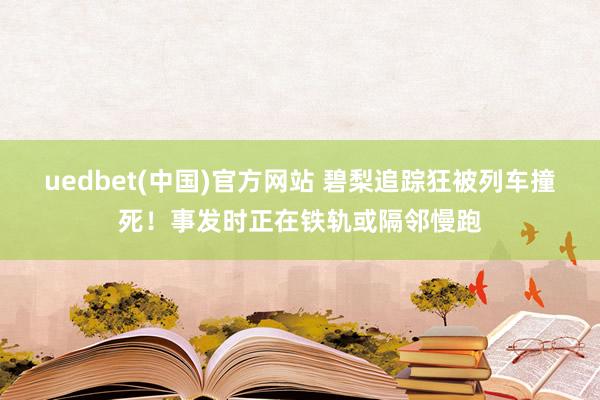 uedbet(中国)官方网站 碧梨追踪狂被列车撞死！事发时正在铁轨或隔邻慢跑