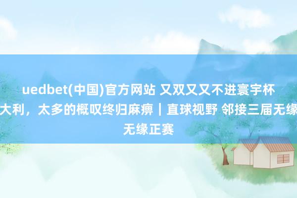 uedbet(中国)官方网站 又双又又不进寰宇杯的意大利，太多的概叹终归麻痹｜直球视野 邻接三届无缘正赛