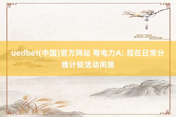 uedbet(中国)官方网站 粤电力A: 现在日常分娩计较活动闲居