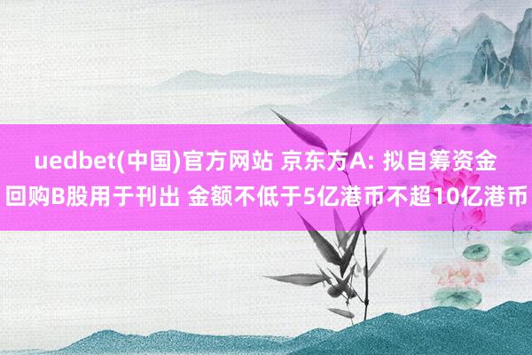 uedbet(中国)官方网站 京东方A: 拟自筹资金回购B股用于刊出 金额不低于5亿港币不超10亿港币