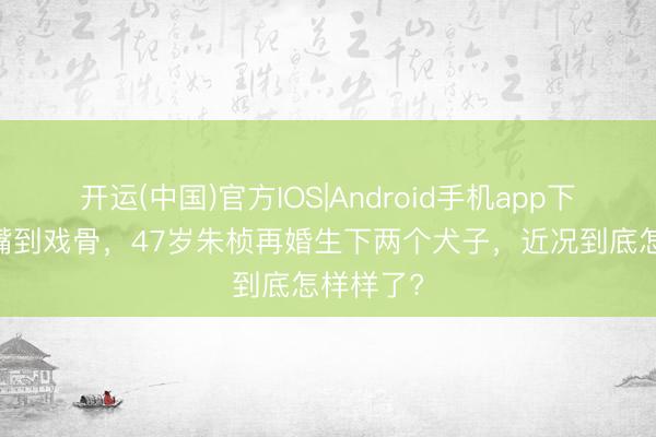 开运(中国)官方IOS|Android手机app下载 从名嘴到戏骨，47岁朱桢再婚生下两个犬子，近况到底怎样样了?