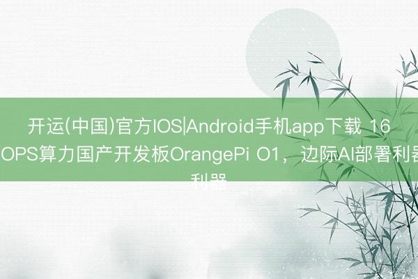 开运(中国)官方IOS|Android手机app下载 16TOPS算力国产开发板OrangePi O1，边际AI部署利器