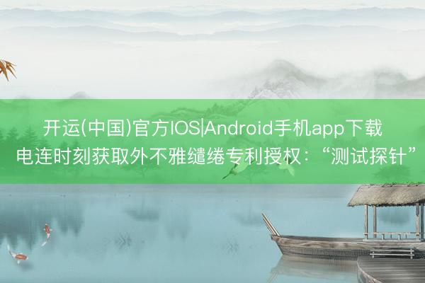 开运(中国)官方IOS|Android手机app下载 电连时刻获取外不雅缱绻专利授权：“测试探针”