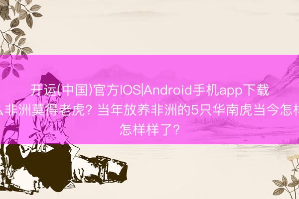 开运(中国)官方IOS|Android手机app下载 为什么非洲莫得老虎? 当年放养非洲的5只华南虎当今怎样样了?
