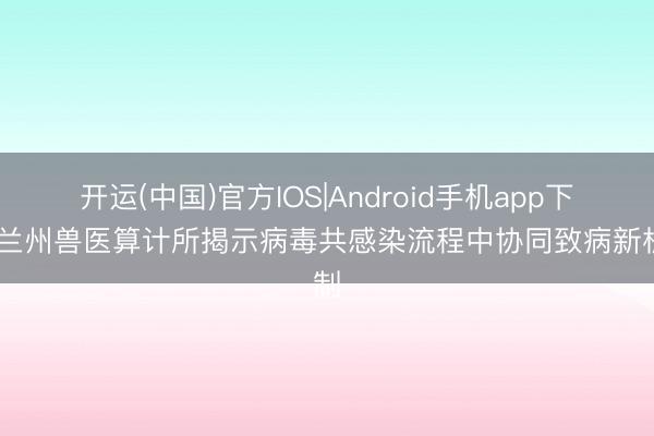 开运(中国)官方IOS|Android手机app下载 兰州兽医算计所揭示病毒共感染流程中协同致病新机制