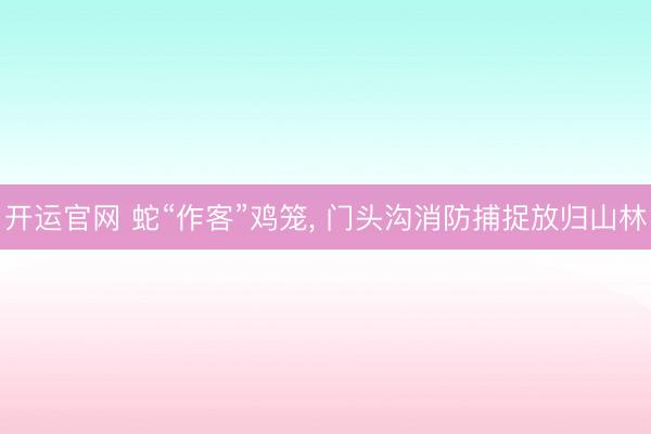 开运官网 蛇“作客”鸡笼， 门头沟消防捕捉放归山林